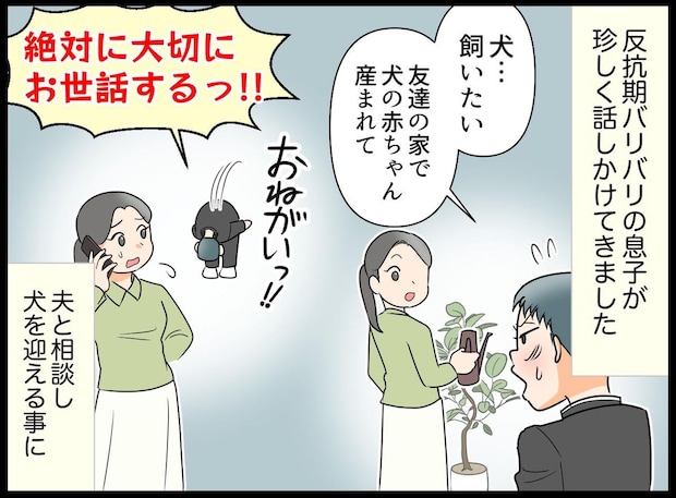 会話拒絶の反抗期息子が「犬を飼いたい」と頭を下げてきた。「あなたにできるの？」悩んだ末に迎えたけど