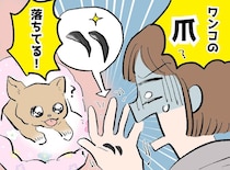 愛犬の布団から「2本の爪」が！？ 慌てて病院に駆け込むと『まさかの正体』に「恥ずかしすぎる」
