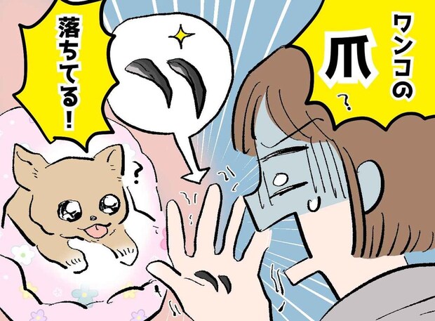 愛犬の布団から「2本の爪」が！？ 慌てて病院に駆け込むと『まさかの正体』に「恥ずかしすぎる」