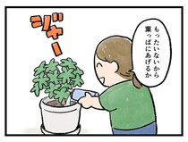 「ご、ごめーーん！」水筒の水を再利用しようとして【アラサー主婦のあるある日記】