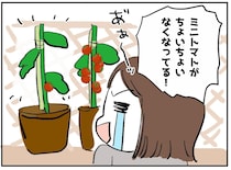 「庭のトマトが消えてる！」隣人を疑い続けた私。庭で目撃した『衝撃の真犯人』に「えぇーッ！」