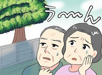 「隣家の木が邪魔で家が売れない」ある交渉をした結果「感謝するよ！」さらに売却価格も跳ね上がったワケ