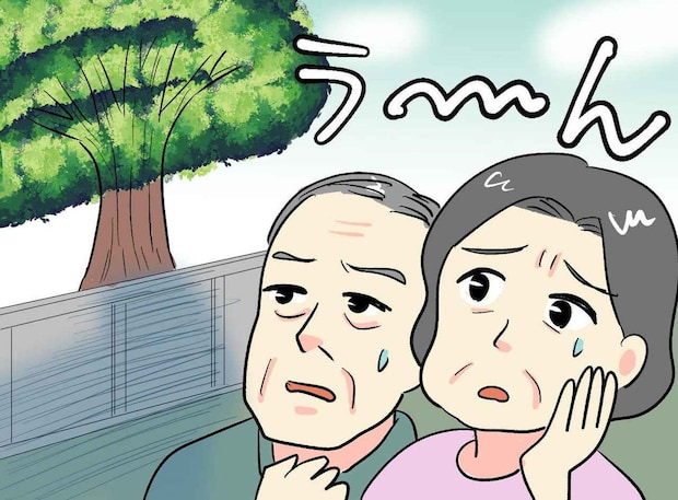 「隣家の木が邪魔で家が売れない」ある交渉をした結果「感謝するよ！」さらに売却価格も跳ね上がったワケ