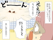 「あ、愛犬の爪が落ちてる！」慌てて病院へ！ →『黒い塊の正体』に「恥ずかしすぎて消えたい」