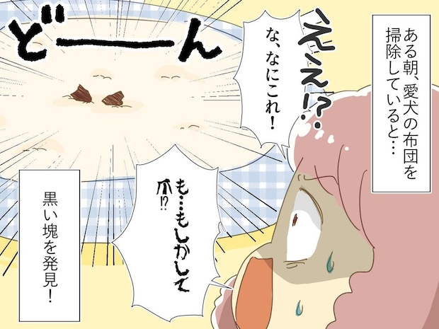 「あ、愛犬の爪が落ちてる！」慌てて病院へ！ →『黒い塊の正体』に「恥ずかしすぎて消えたい」