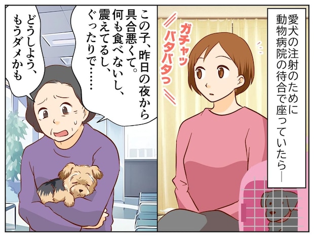 「もうダメかも」動物病院で号泣する高齢女性の愛犬を待ち受けていた、意外な結果
