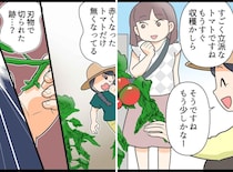 家庭菜園のトマトを無断で収穫している女性が！ 問い詰めると、耳を疑う一言が