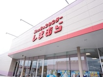 1089円で「大人の透明感」爆誕！ 【しまむら】40・50代に着てほしい「洗練トップス」