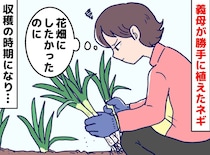 「勝手に植えないで」義母が庭に作ったネギ畑。怒りが消えた“思いがけない結末”