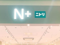 今から服買うなら“この1着”！【ニトリのN+】夏 → 秋まで長く着られそう「1,000円台アイテム」