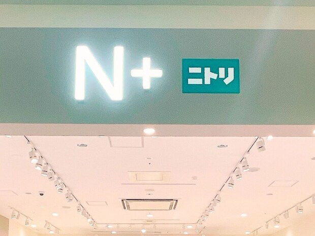 今から服買うなら“この1着”！【ニトリのN+】夏 → 秋まで長く着られそう「1,000円台アイテム」