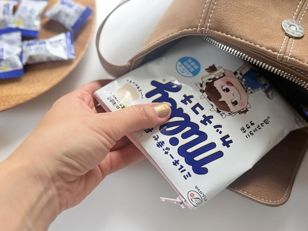 【お菓子の袋】捨てるの待った!『ポーチ』に変身させたら「思いのほか実用的」