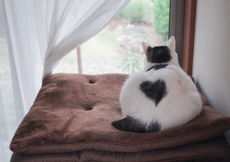 ♡マークに感謝を込めて。【ぽくあむのハートフルデイズ。vol.30】