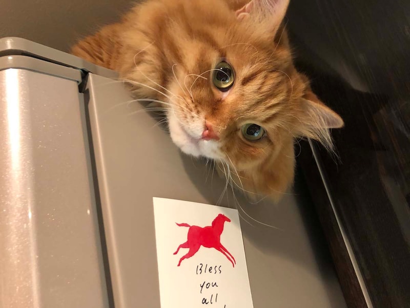 ぼくは、どこにいるでしょう？【ふわもこメープルのまどろみ帖。vol.2】