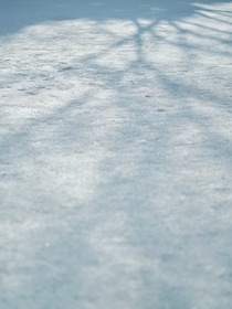 今月の写真家、今日の一枚。稲垣 謙一 vol.6