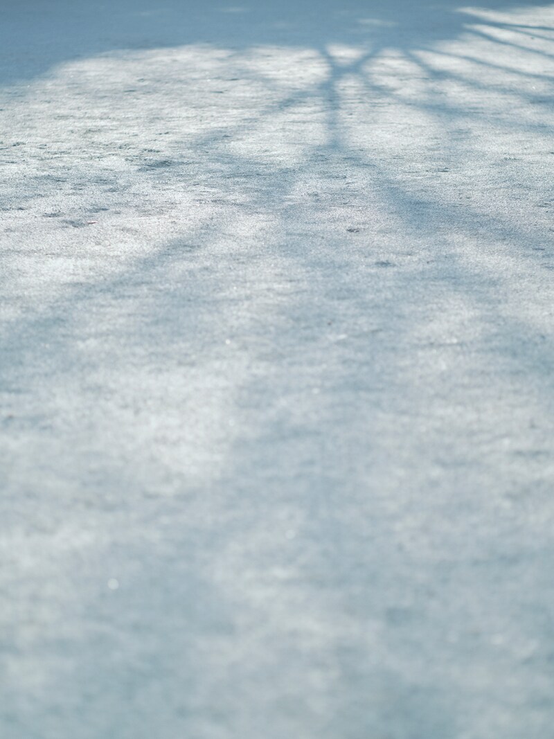 今月の写真家、今日の一枚。稲垣 謙一 vol.6