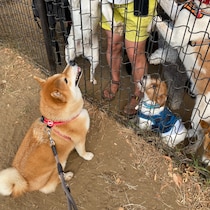 ハルくん、おやつパーティに参加。