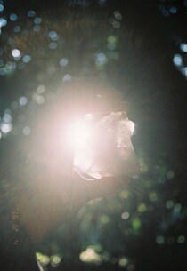 今月の写真家、今日の一枚。稲垣 謙一 vol.7