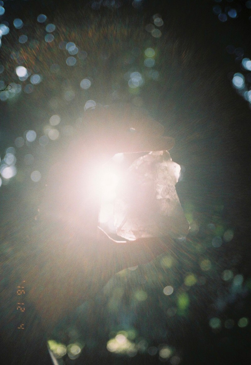 今月の写真家、今日の一枚。稲垣 謙一 vol.7