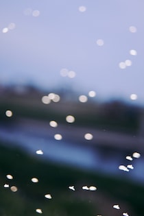 今月の写真家、今日の一枚。稲垣 謙一 vol.10