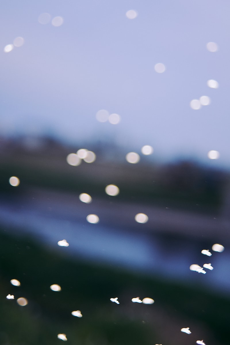 今月の写真家、今日の一枚。稲垣 謙一 vol.10