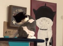 ちろりのアート紹介。【おちょこ、ぽのぽのだより。vol.226】