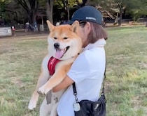 ハルくん、ドッグラン1日目のその後。