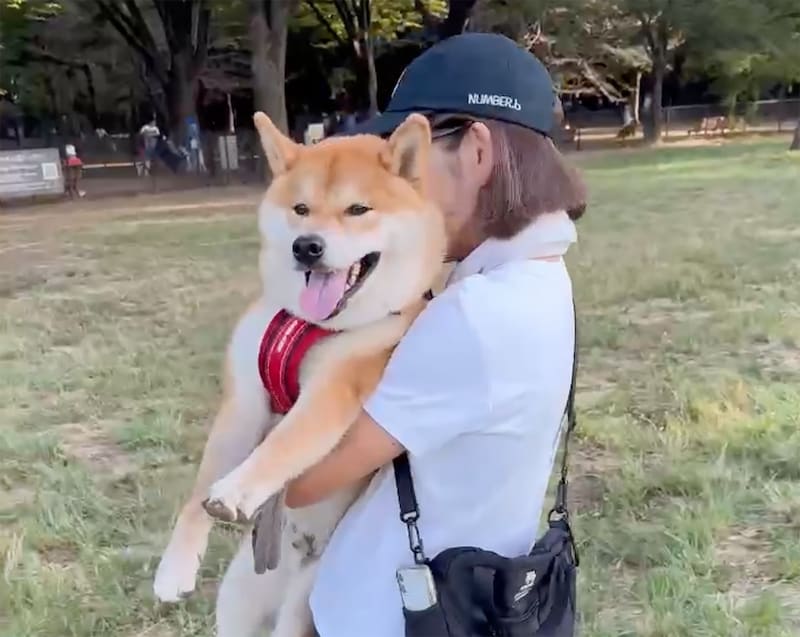 ハルくん、ドッグラン1日目のその後。