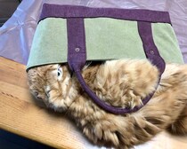 サイズ、間違えてません……？【ふわもこメープルのまどろみ帖。vol.12】