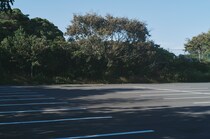 今月の写真家、今日の一枚。稲垣 謙一 vol.15