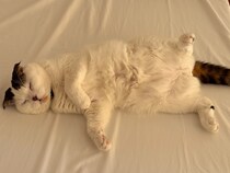 観察するなら、今やで〜。【いなほ、オレ物語。vol.252】