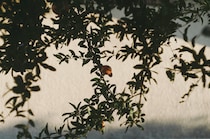 今月の写真家、今日の一枚。稲垣 謙一 vol.16