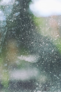 今月の写真家、今日の一枚。稲垣 謙一 vol.17