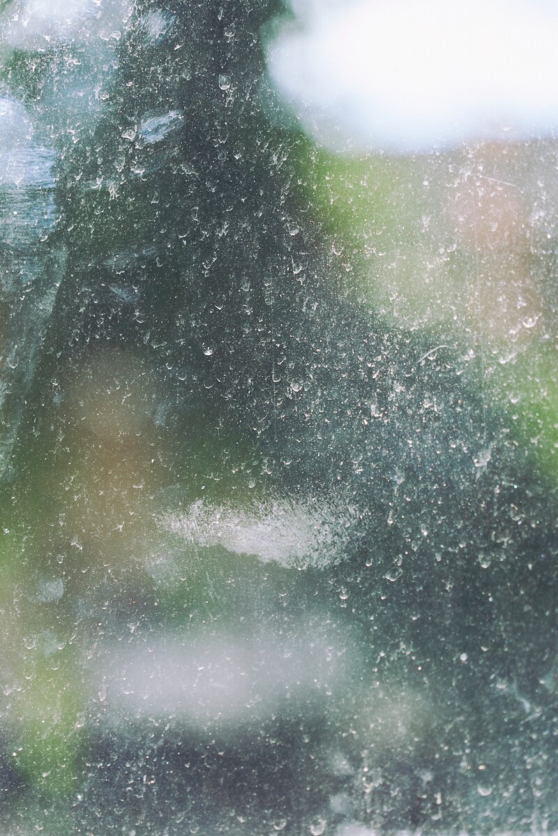 今月の写真家、今日の一枚。稲垣 謙一 vol.17