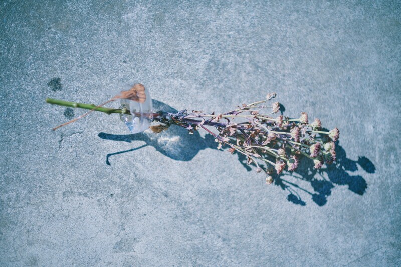 今月の写真家、今日の一枚。稲垣 謙一 vol.19