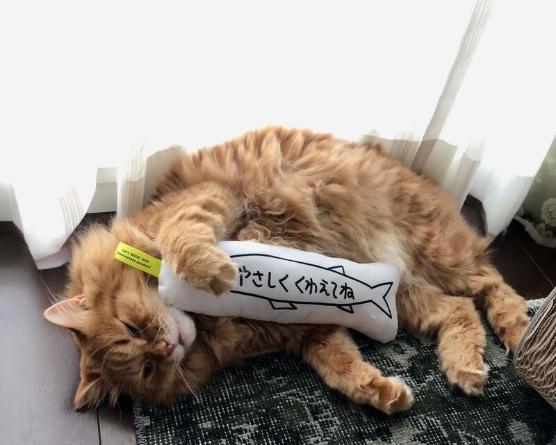 たまにはふて寝しちゃいます。【ふわもこメープルのまどろみ帖。vol.19】