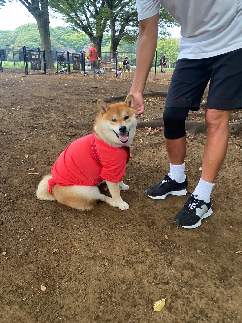 ハルくん、ドッグラン3日目。