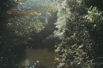 今月の写真家、今日の一枚。稲垣 謙一 vol.21