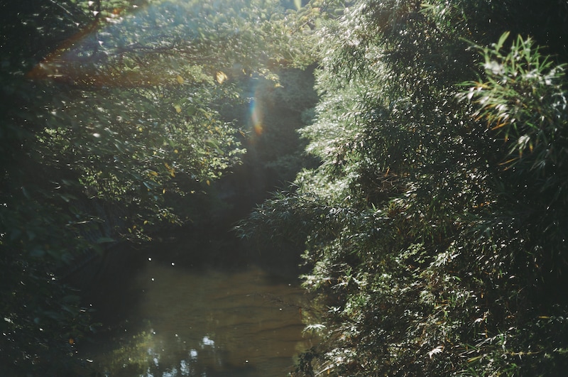 今月の写真家、今日の一枚。稲垣 謙一 vol.21