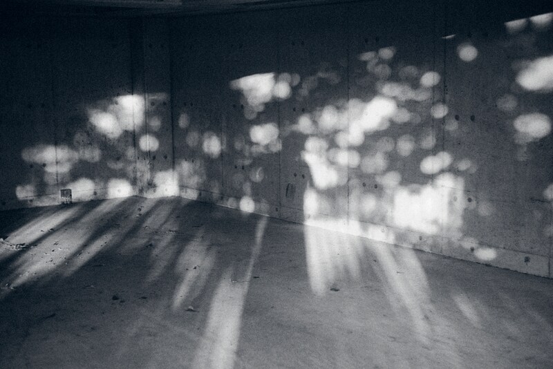 今月の写真家、今日の一枚。稲垣 謙一 vol.25