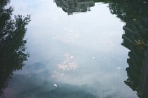 今月の写真家、今日の一枚。稲垣 謙一 vol.26