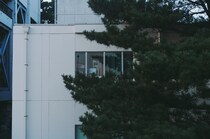 今月の写真家、今日の一枚。稲垣 謙一 vol.27