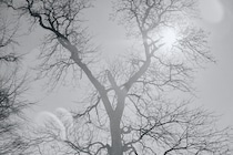 今月の写真家、今日の一枚。稲垣 謙一 vol.30