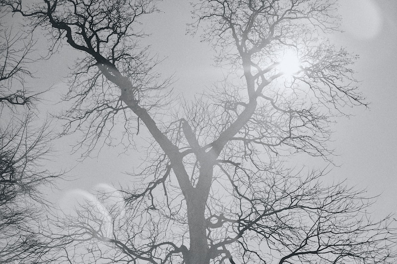 今月の写真家、今日の一枚。稲垣 謙一 vol.30