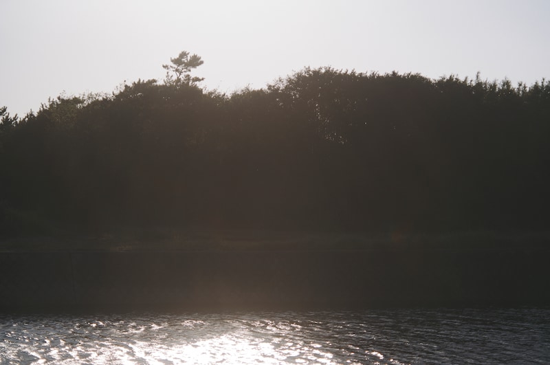 今月の写真家、今日の一枚。稲垣 謙一 vol.31