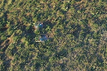 今月の写真家、今日の一枚。安藤 マミコ vol.2