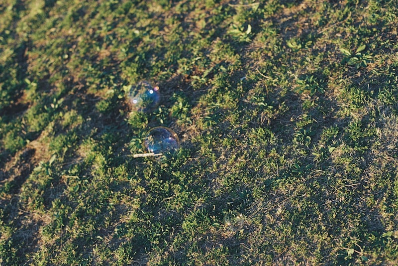 今月の写真家、今日の一枚。安藤 マミコ vol.2