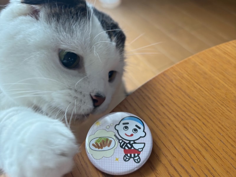 ゆるかわには目がないねん。【いなほ、オレ物語。vol.255】