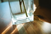 今月の写真家、今日の一枚。安藤 マミコ vol.7