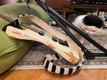 逃げ足の速さが自慢のちろり。【おちょこ、ぽのぽのだより。vol.230】